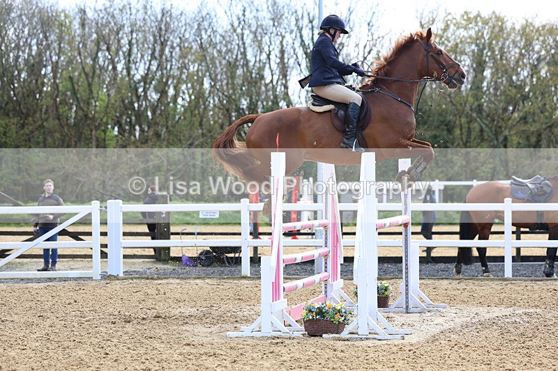 3E7A2093 - Class 8: Senior Foxhunter/1.20 open