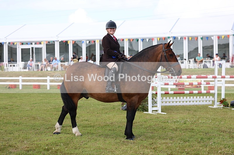 3E7A0130 - Class 5: Rising Star Lightweight/Heavyweight Cobs