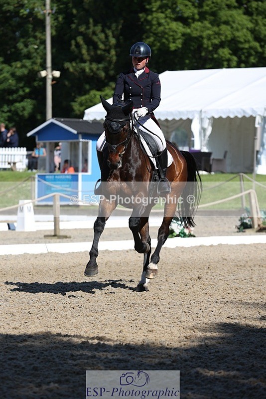 230526-094347-05143 - 357-VIVENDI_HERO-Saffron_Cresswell-WEDTrotUp+DR