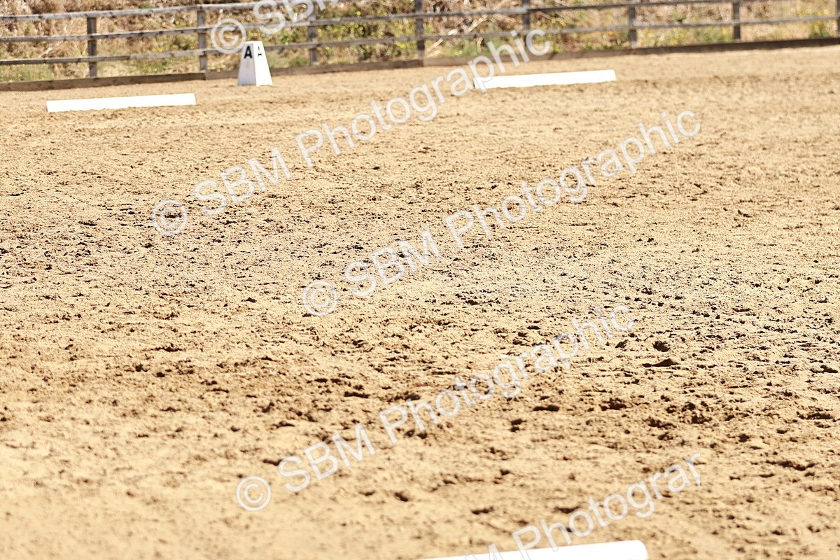 SBM_000841 - Class 12 - DR P1
