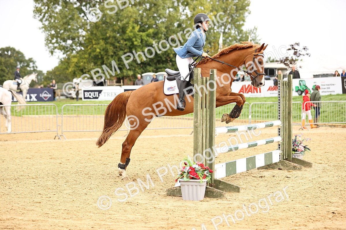 SBM_58537 - J41 - Grand Tour Horse & Pony 95cm