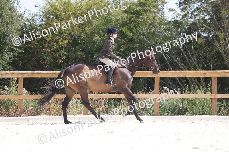 20260802-0715 - Class 8 - Best Riding Horse or Pony