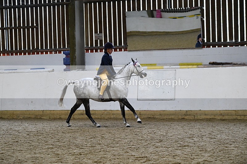 WJ5_7753 - Class 13 Ridden Part Breed