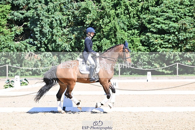 240811-154028-06758 - Inter I Gold