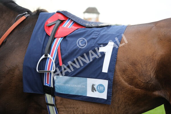 yr18082022r5-15 - Race 5 4.10pm British EBF & Sir Henry Cecil Galtres Stakes