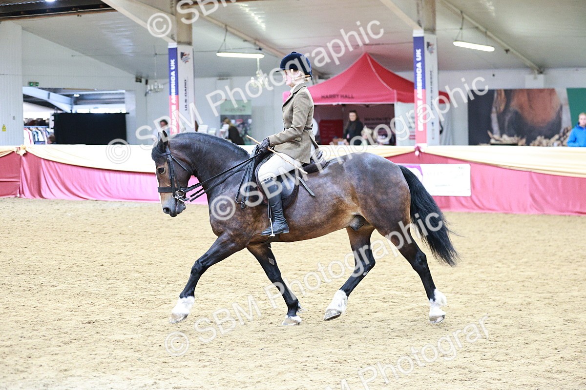 SBM_03599 - Class 6A Area Ridden Pre-Vet