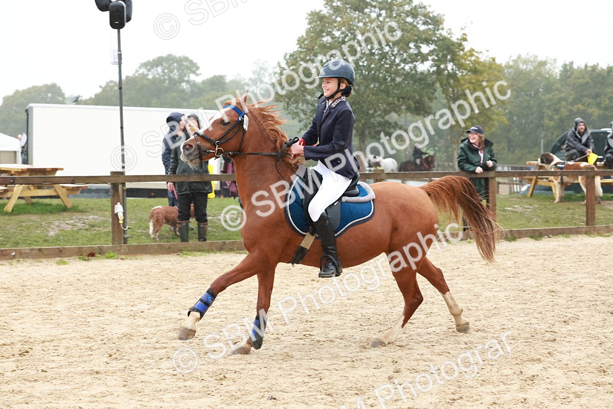 SBM_73673 - Supreme Championship Junior Pony 60cm & 65cm