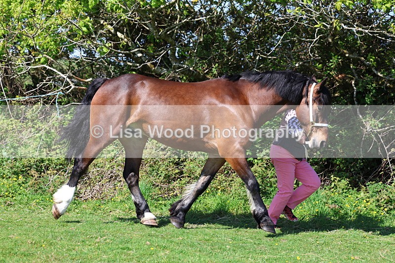 3E7A9435 - Class 16: Best Grass Kept