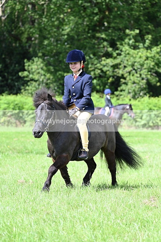 WJ7_1263 - Class 11 Condition & Turnout