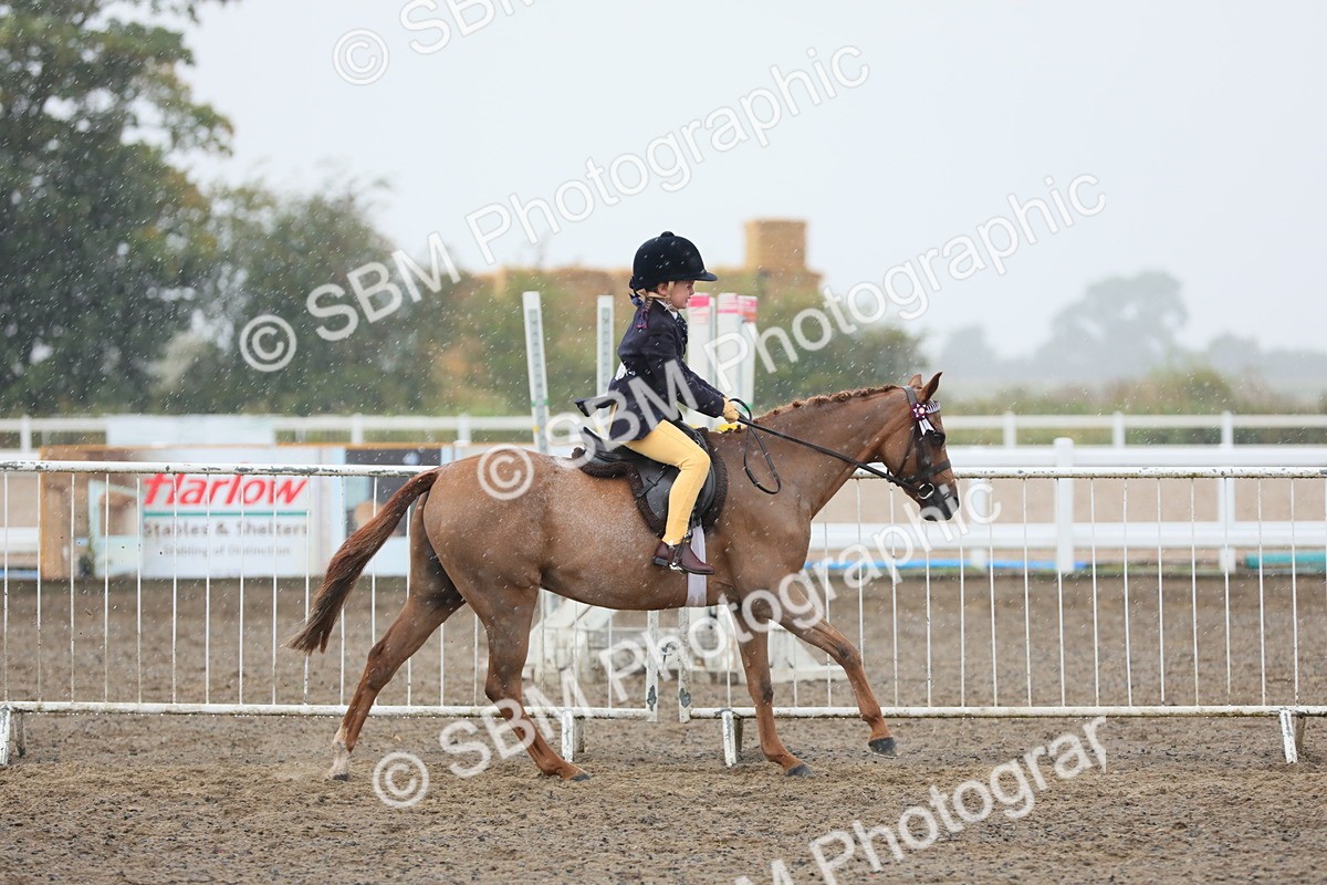 SBM_20562 - Class 804 - Ridden Veteran Pony