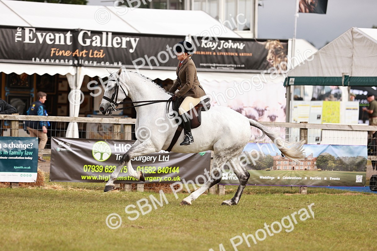 SBM_10873 - Class 81-84 - RIHS Ridden hunters Inc Ladies Hunter