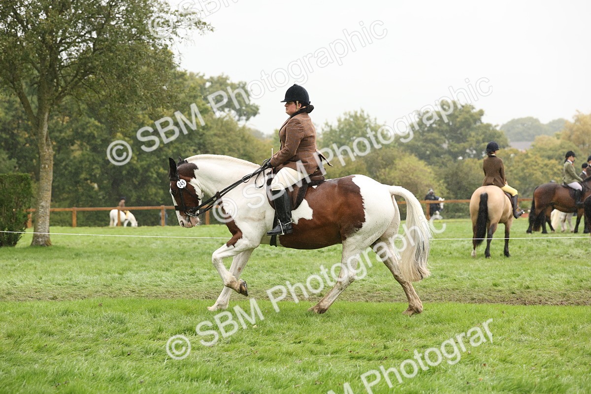 SBM_69826 - S69 - Show Cob Ridden