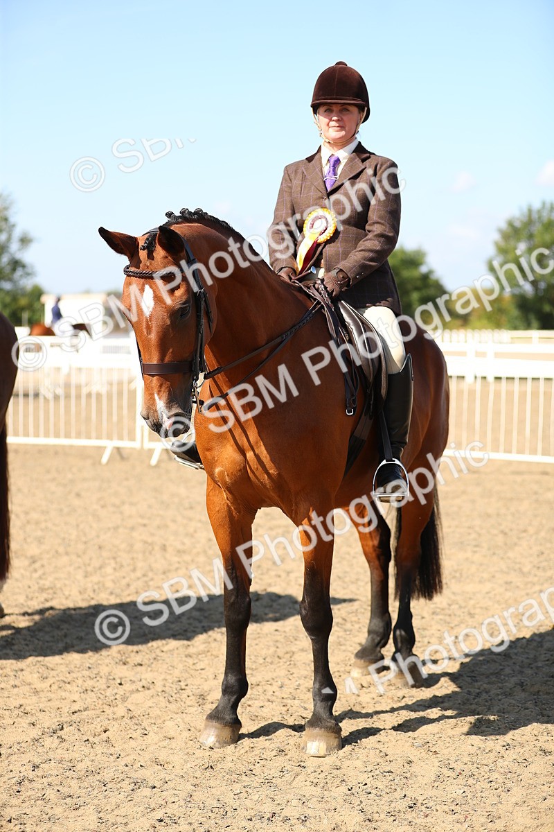SBM_02382 - Class 43 Ridden Competition Horse/Pony