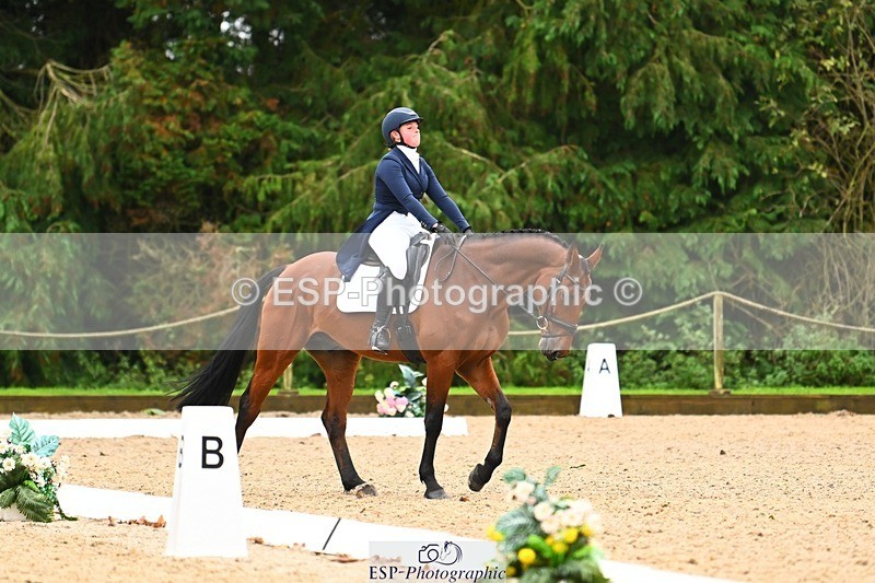 231021-121027-15077 - 346-MY.EASTWOOD.BRIGHTSIDE-Darcy.Zander-DR