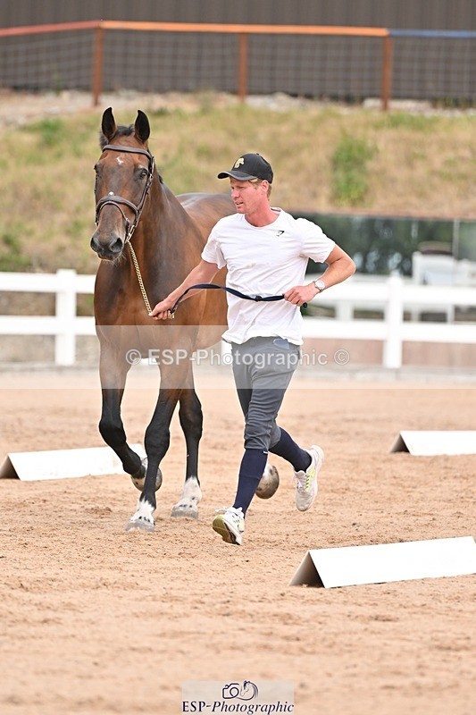 250716-151926-01868 - Trot Up 2.30 to 3.30