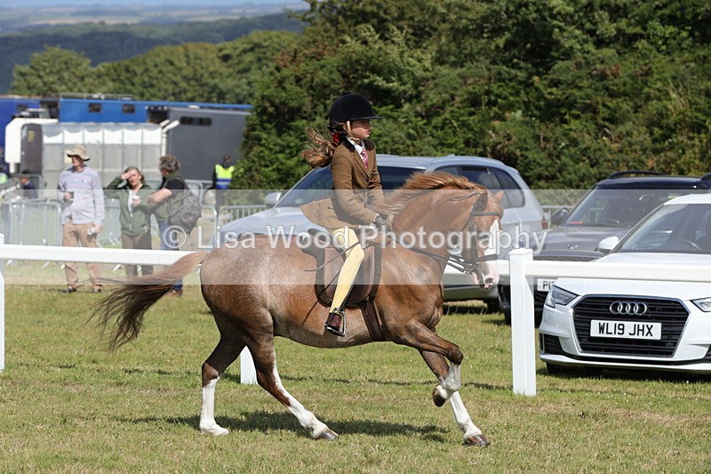 1X9A5673 - Class 40: NPS Welsh A & B