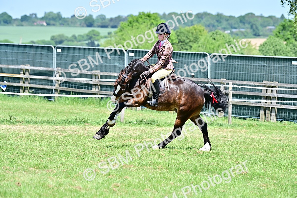 SBM_15415 - Class 95-97 - BSPS LHS Performance Ponies