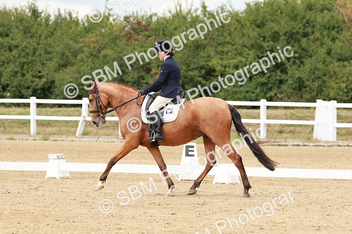 SBM_001743 - Class 8 - Elementary 6