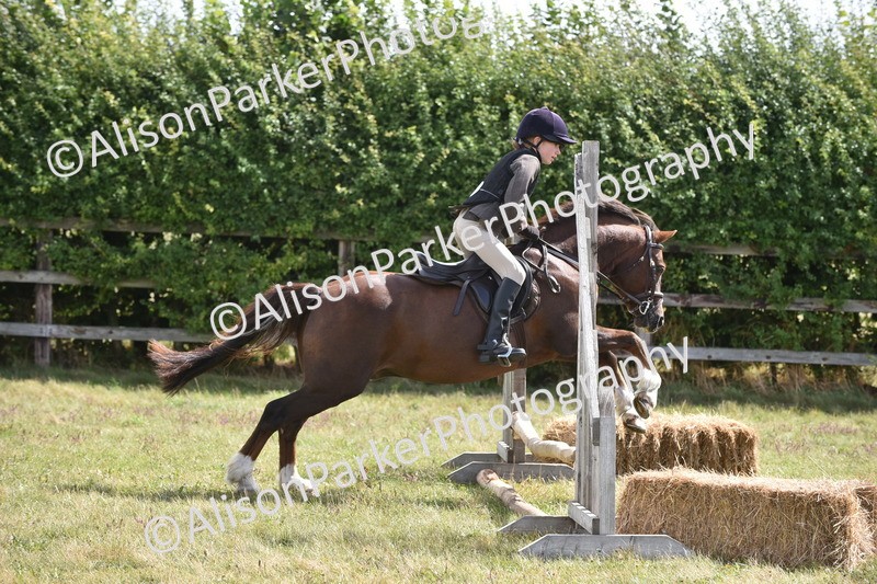 20250831-3925 - Class 11 - Working Hunter Pony 13hh and Under