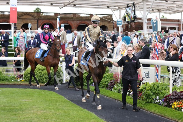 yr11062022r1-116 - Race 1 12.45pm Macmillan Ride of Their Lives, supported by Sky Bet