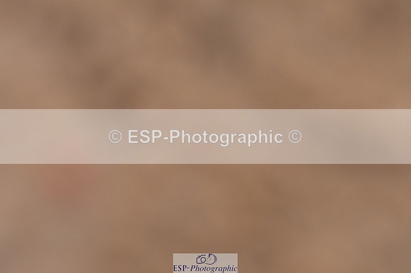 240121A-110603-00545 - Cls 5 Novice 37A