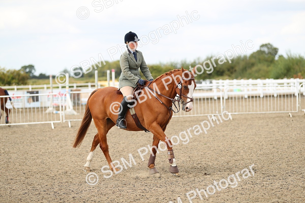 SBM_04774 - Class 46b Style & Performance 50cm (20+)