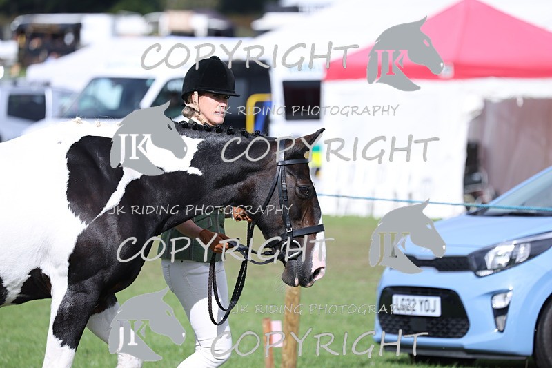 APP_2574 - Class 9 Veterans in hand