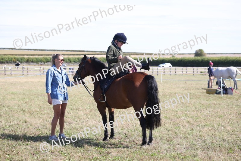 20260906-2239 - Class 16 - Family Pony
