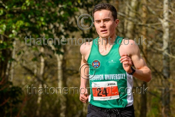 Livi26-929035 - Male Set Two