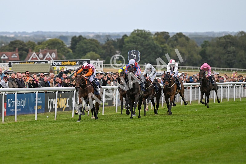 250824-Race 5-Lincoln Rockstar-3634 - Race 5