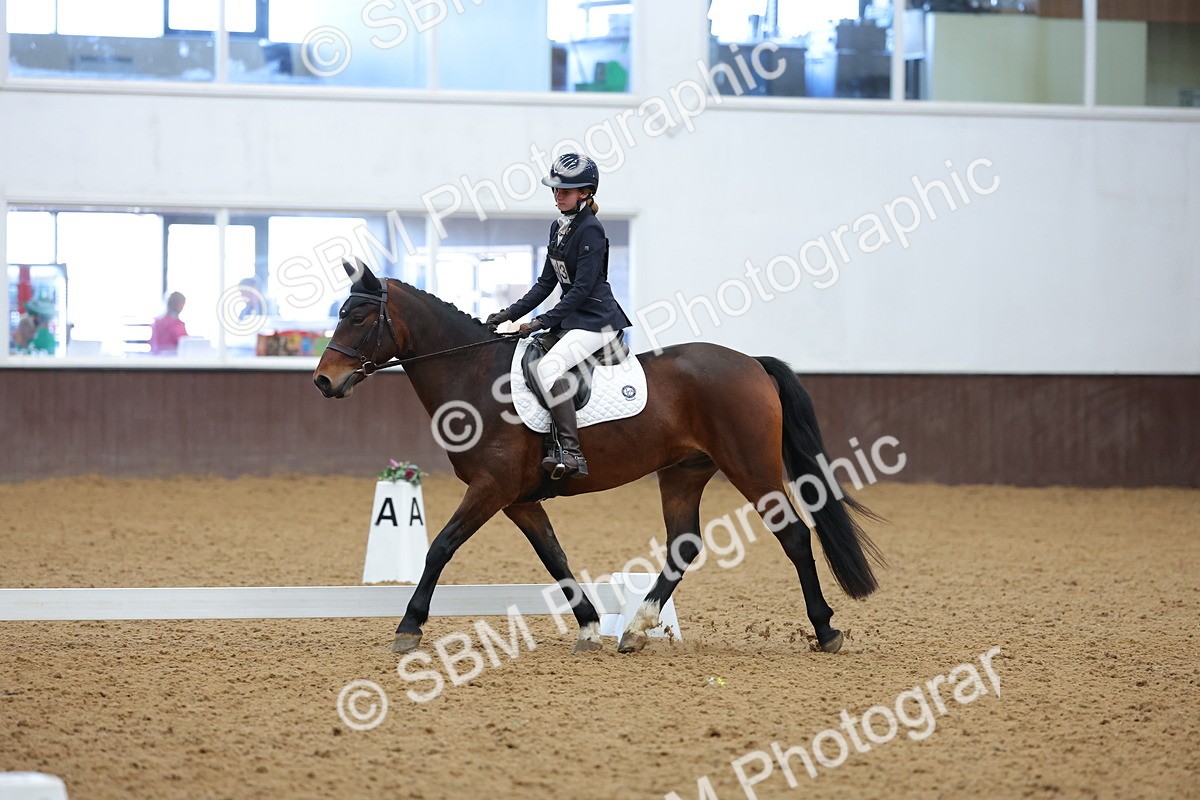 SBM_003012 - Novice