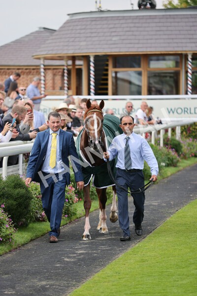 yr20082021r2-103 - Race 2 2.25pm Weatherbys Hamilton Lonsdale Cup (British Champion Series race)