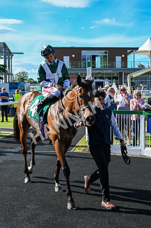 310526-Race 5-Fandom-9156 - Race 5 17.45pm Sky Bet Price Boosts Handicap