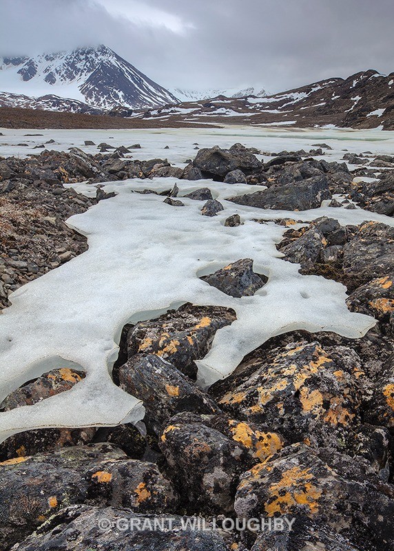  - Arctic
