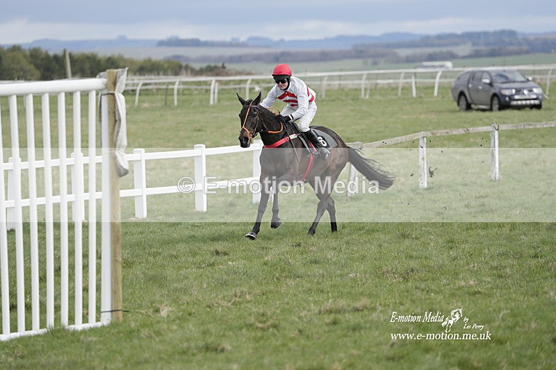 PtP 260323 0398 - New Forest Hounds Point-to-Point Larkhill 26/03/23
