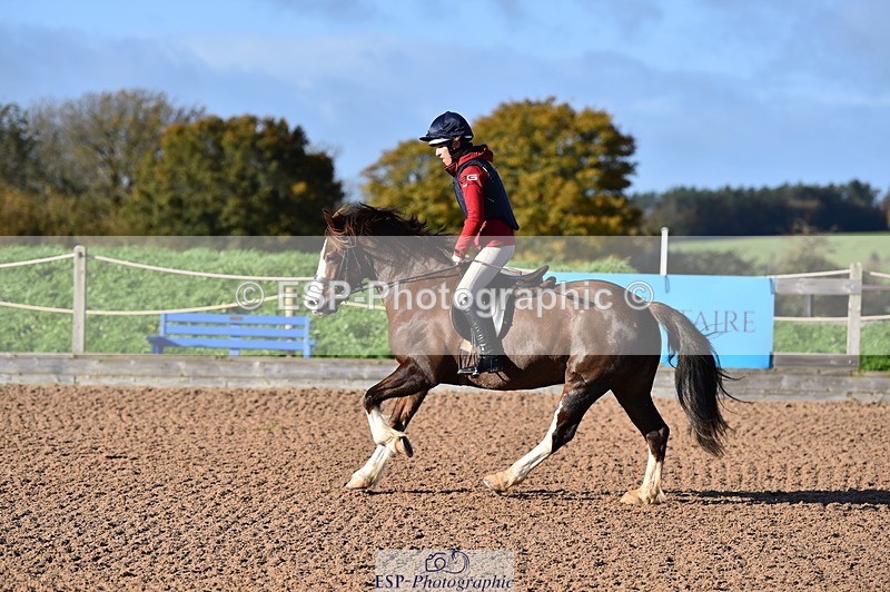 231105A-103210-00351 - 70cm