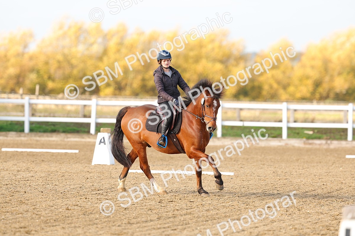 SBM_001215 - Class 13-4-9 - DR P3 CT P3 70cm CT PYO