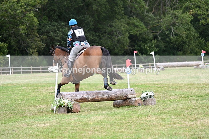 WJ7_9293 - 60cm Time 12:51 to 13:18