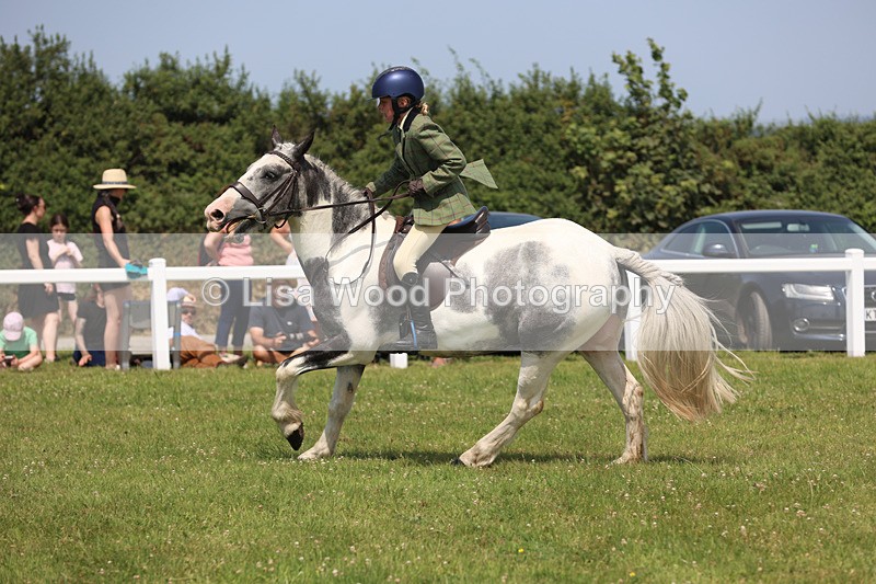 JPP_3271 - Class 22: Working Hunter 70cm