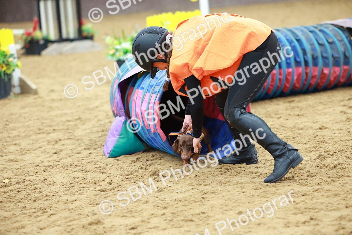 SBM_002207 - Class 3 - Horse & Hound (60cm)