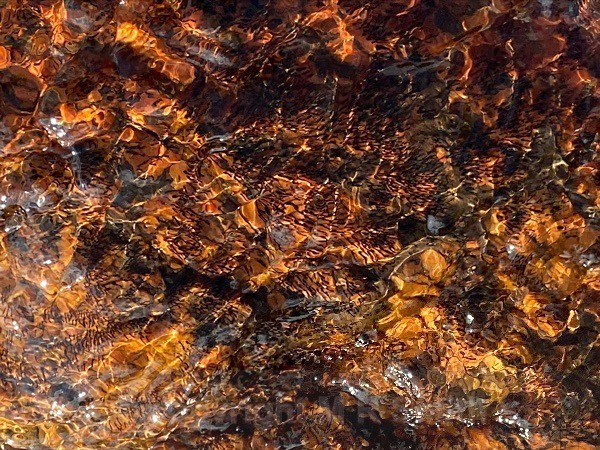Golden Ripples - MACRO & CLOSE UPS 2