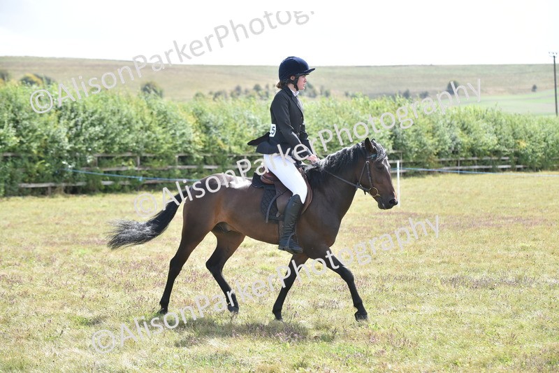 20250831-4033 - Class 12 - Working Hunter Pony 14.2hh and Under