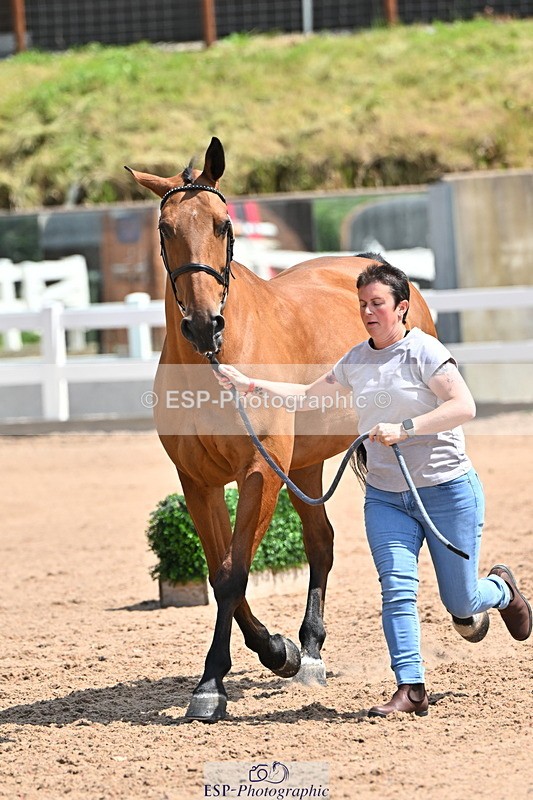 240718A-105300-01424 - Trot Up 12pm to 1pm