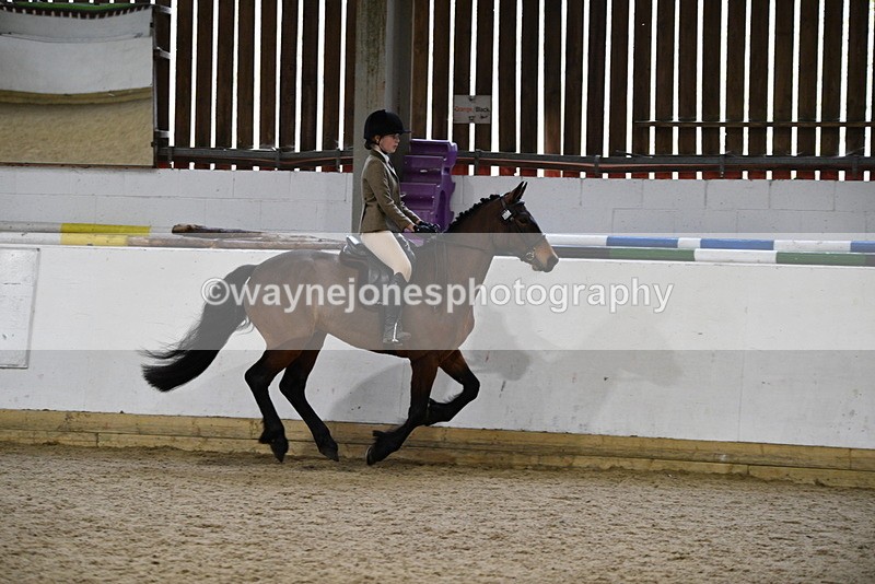 WJ5_7247 - Class 11 Ridden PC - RC Pony