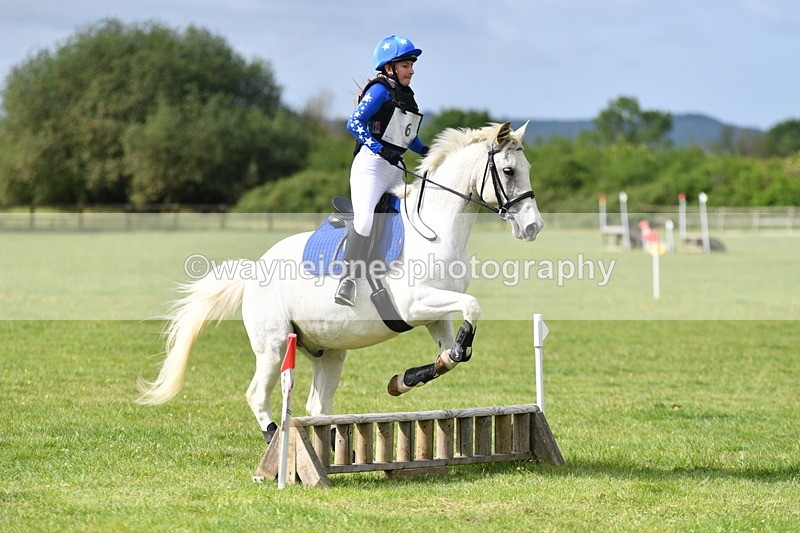 WJ5_2403 - Class 2 40cm