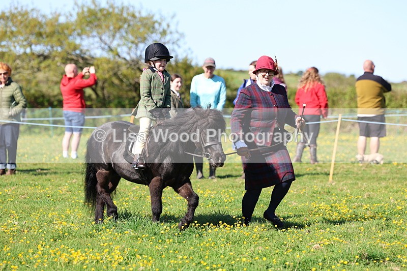 3E7A8771 - Class 2: Lead rein