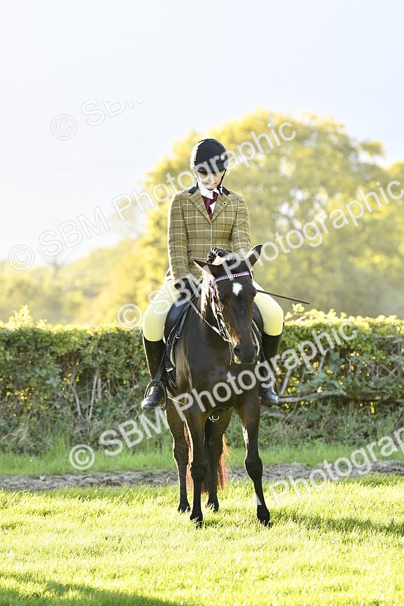 SBM_53584 - S14 - Riding Club Horse