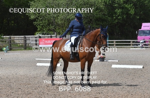 BPP_6088 - 24 L HAMILTON