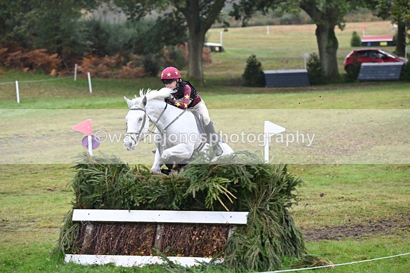 WJ6_2305 - 80cm Cam 1 Time 10:47 to 11:22