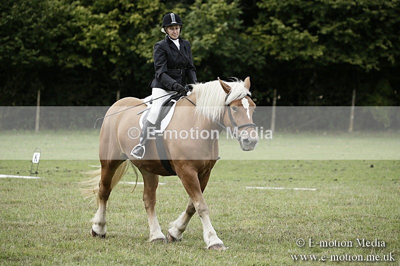 BVR080918 134 - BVRC Novice Dressage & CR 08/09/18